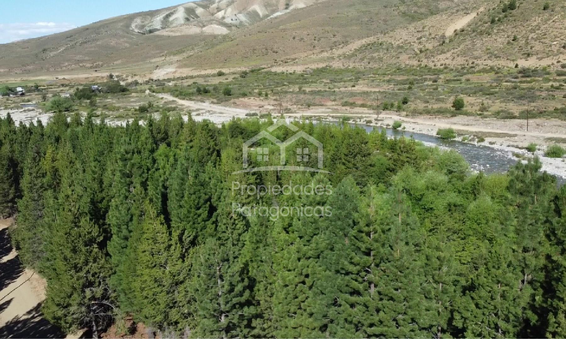 Valle del Ñirihuau 0