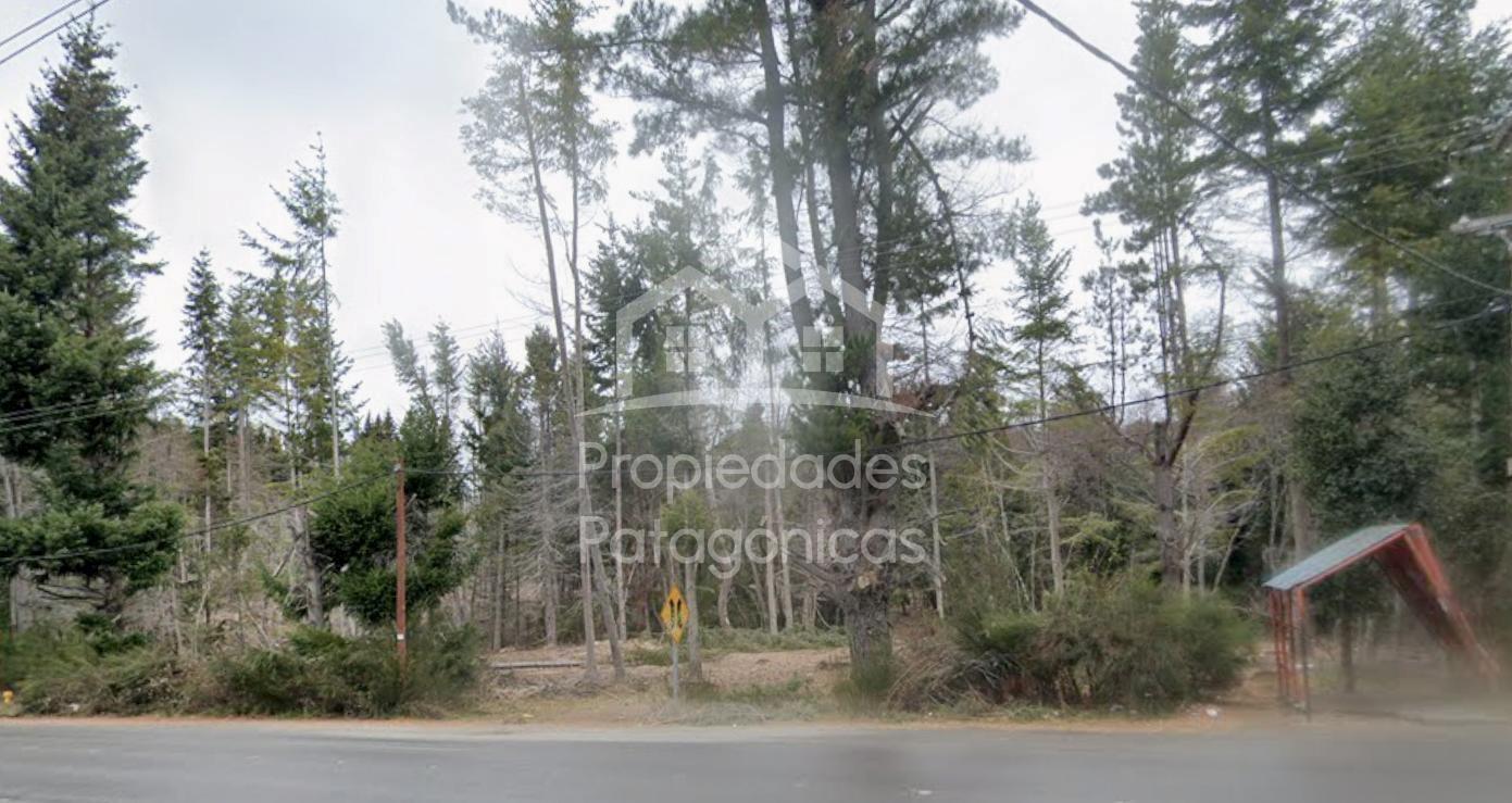 Avenida Bustillo km 21000