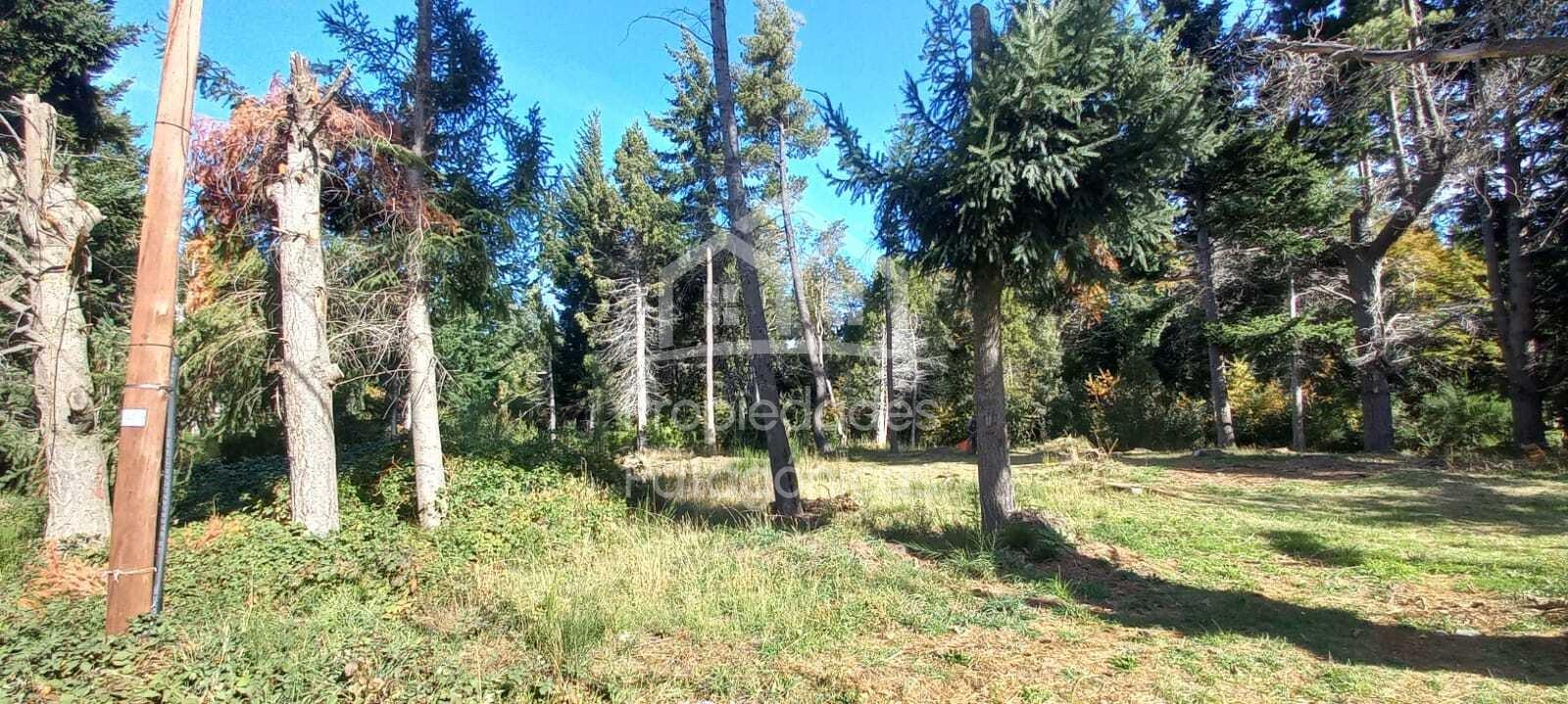 Avenida Bustillo km 21000