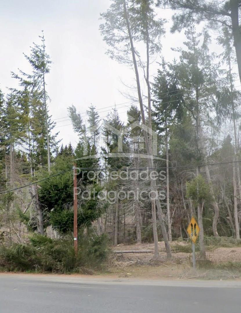 Avenida Bustillo km 21000