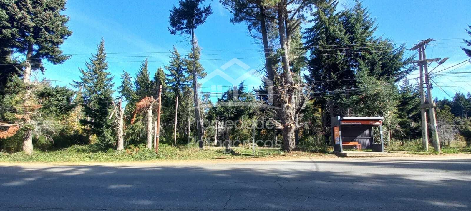 Avenida Bustillo km 21000