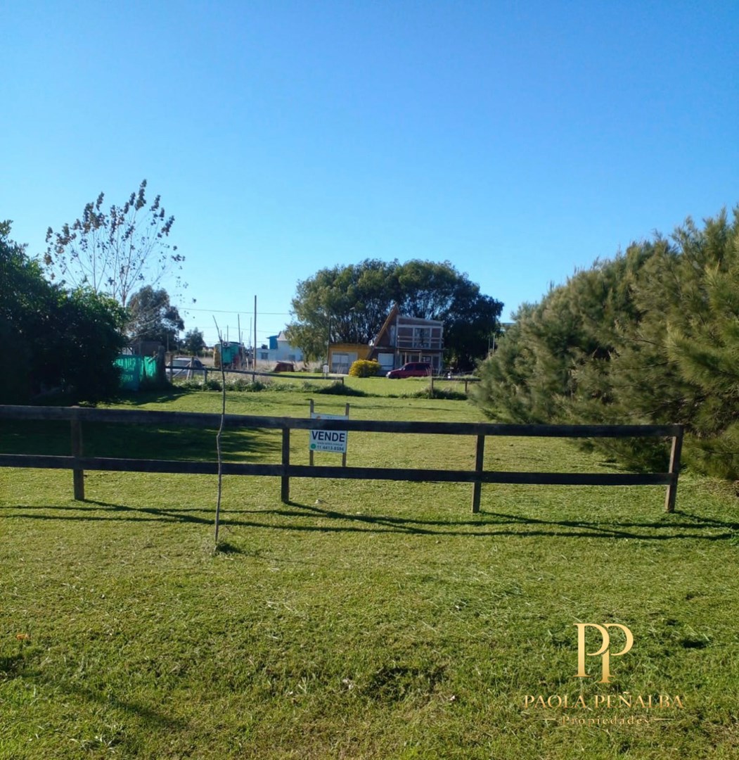Juarez Celman 300