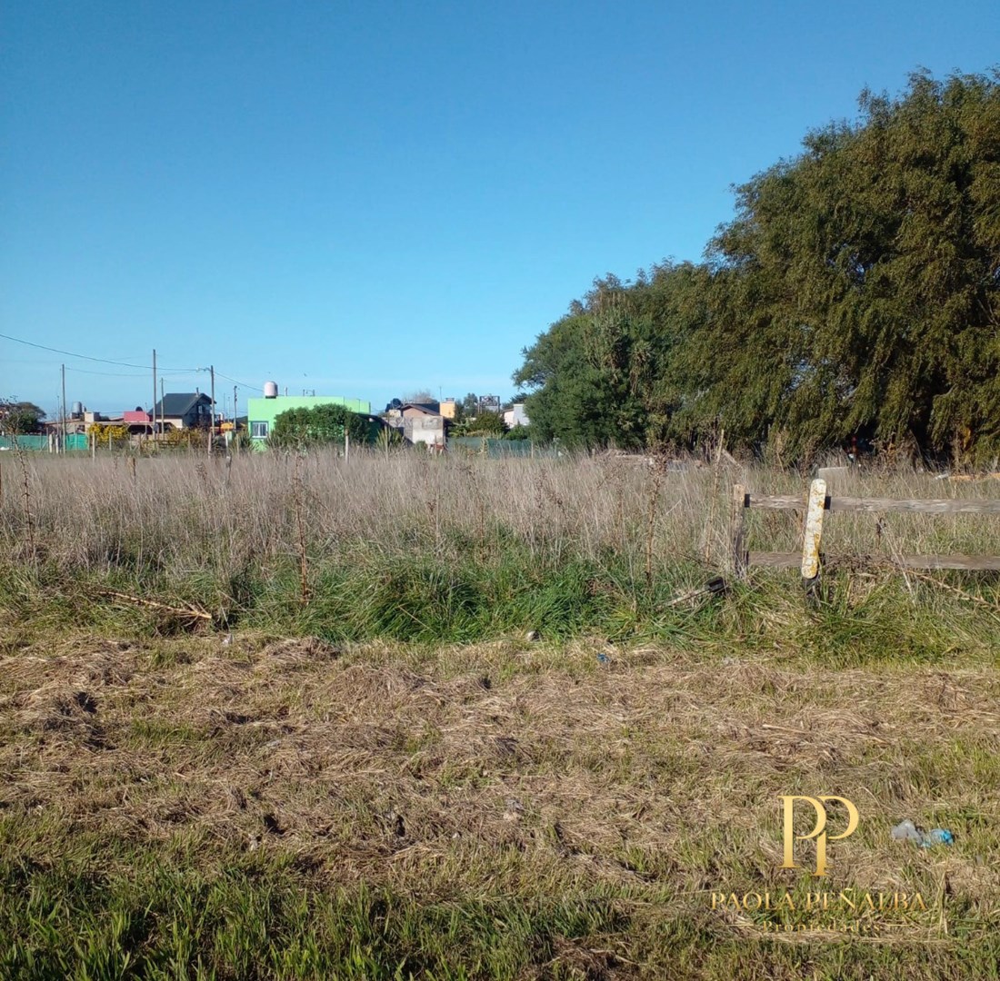 Alberdi 100