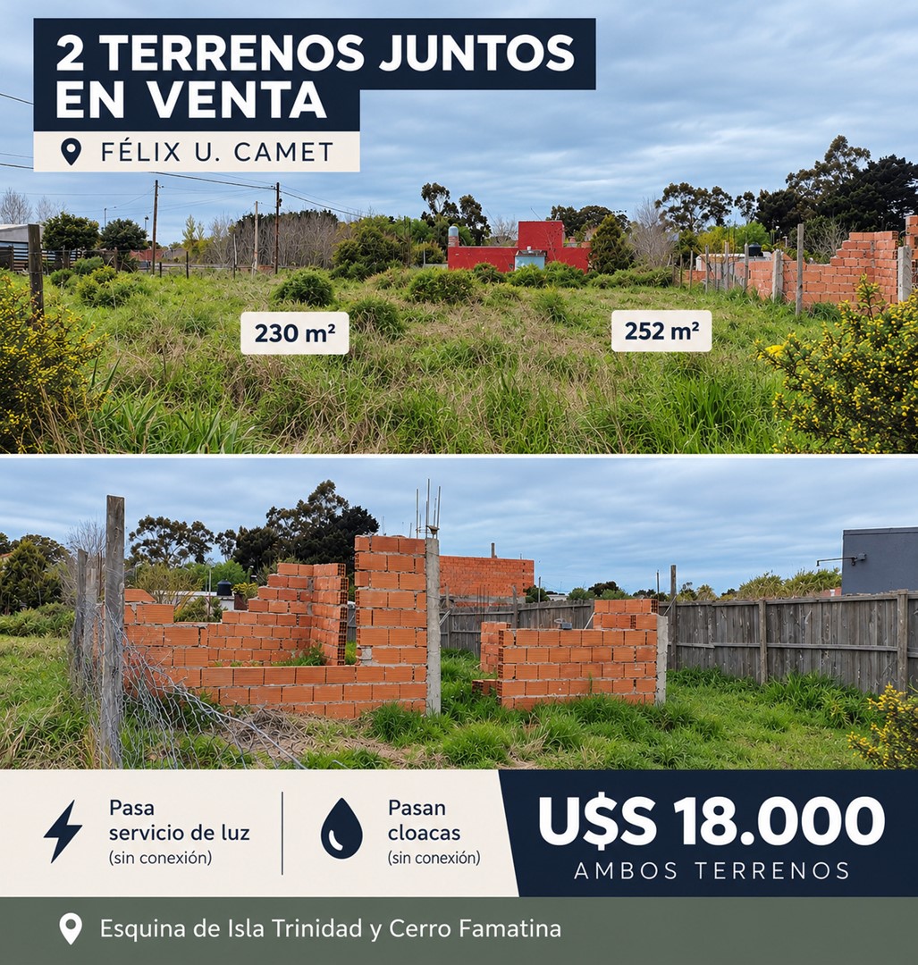 Isla Trinidad y Cerro Famatina