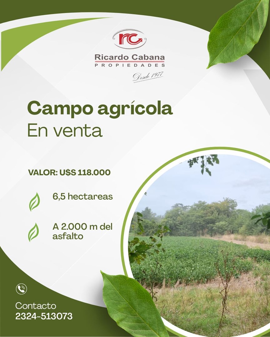 CAMPO AGRÍCOLA EN VENTA a 2.000 m del asfalto