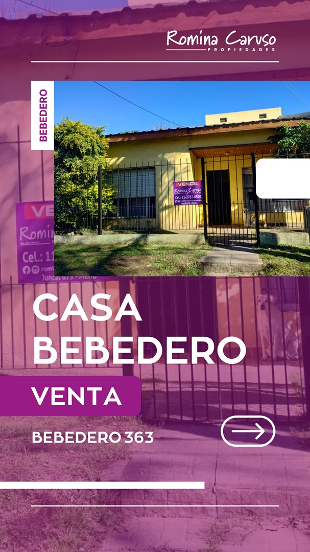 BEBEDERO 300