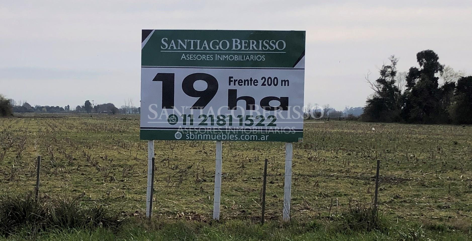 19 ha. Agrícolas / Industrial