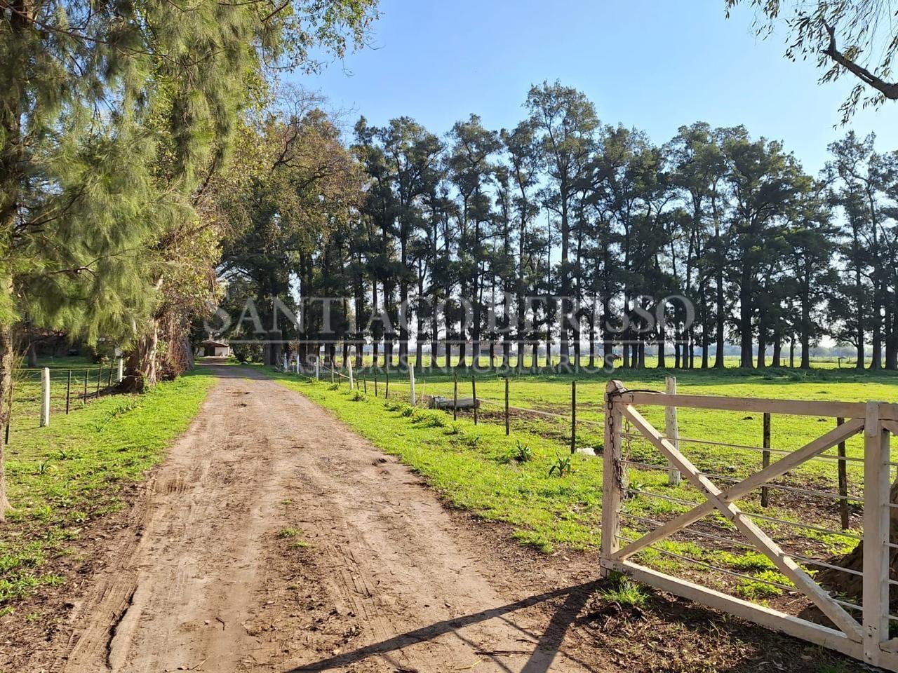 12 ha. Exaltación de la Cruz. Ideal centro hípico