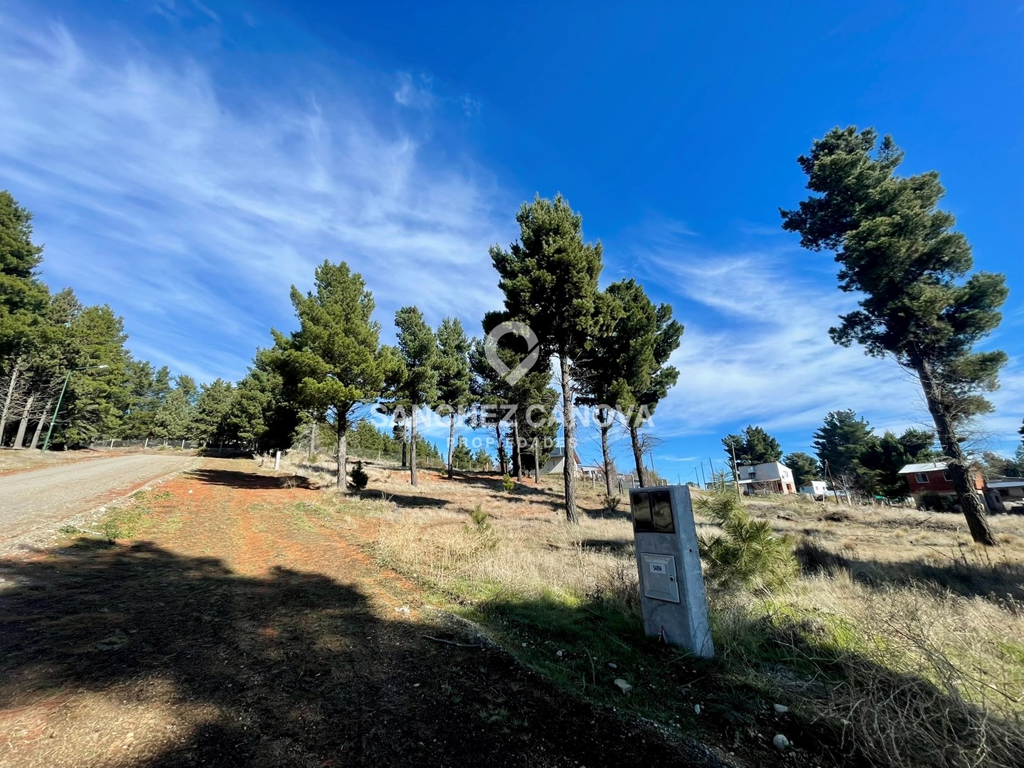 Los nogales 100