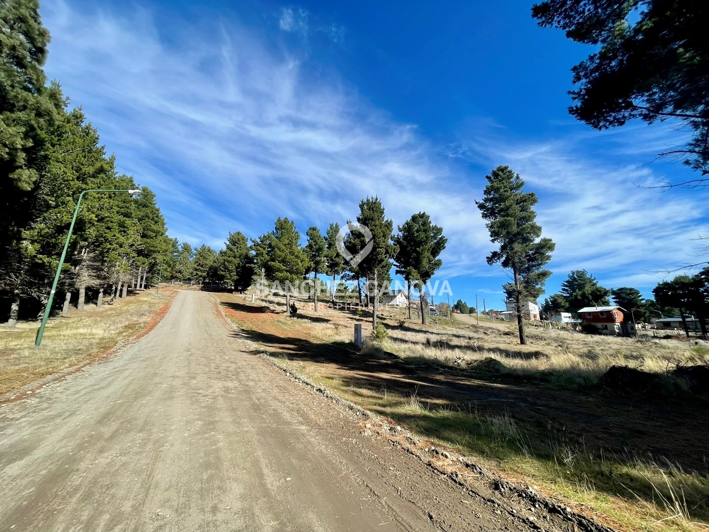 Los nogales 100