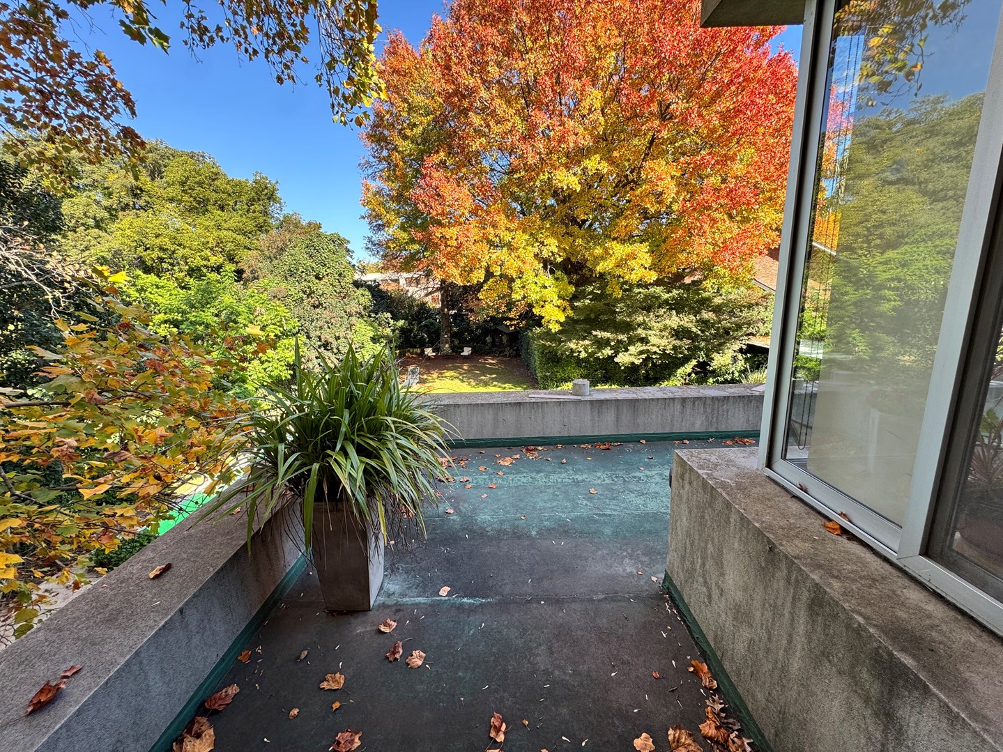 terraza suite