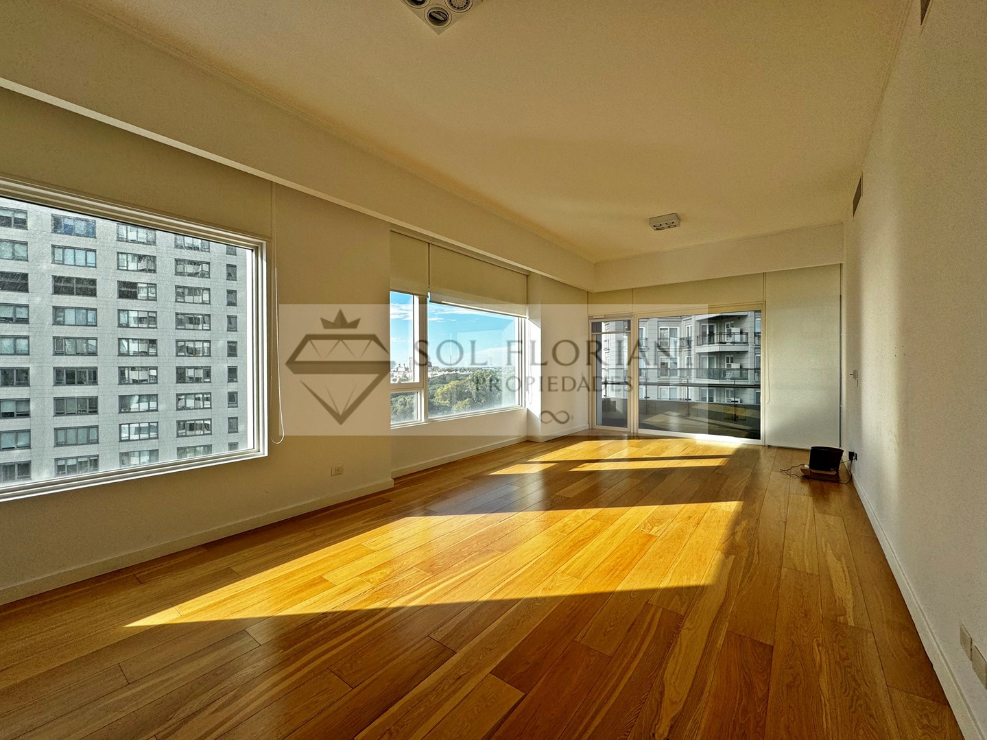 Azucena Villaflor 500