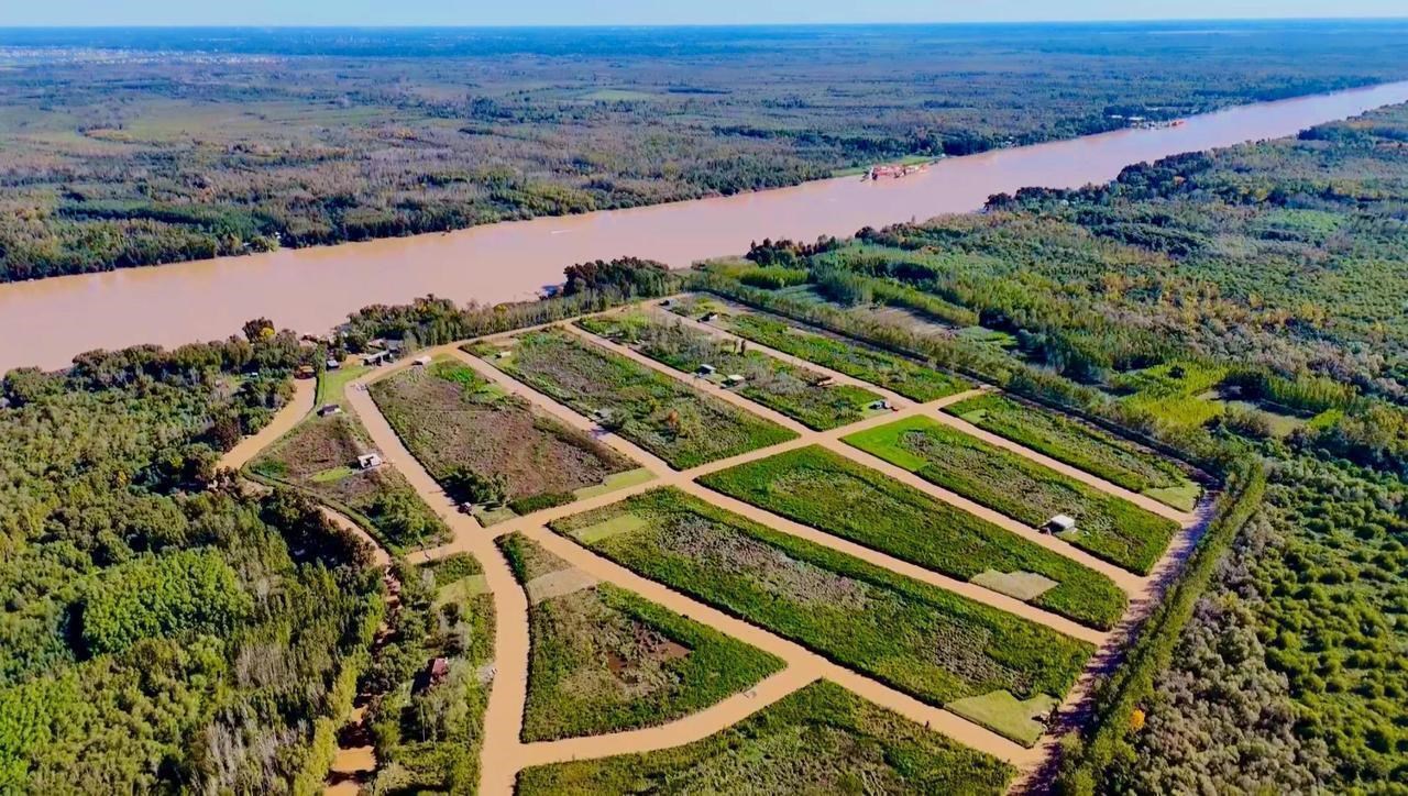 Rio o Arroyo Paraná de Las Palmas Barrio Albardon