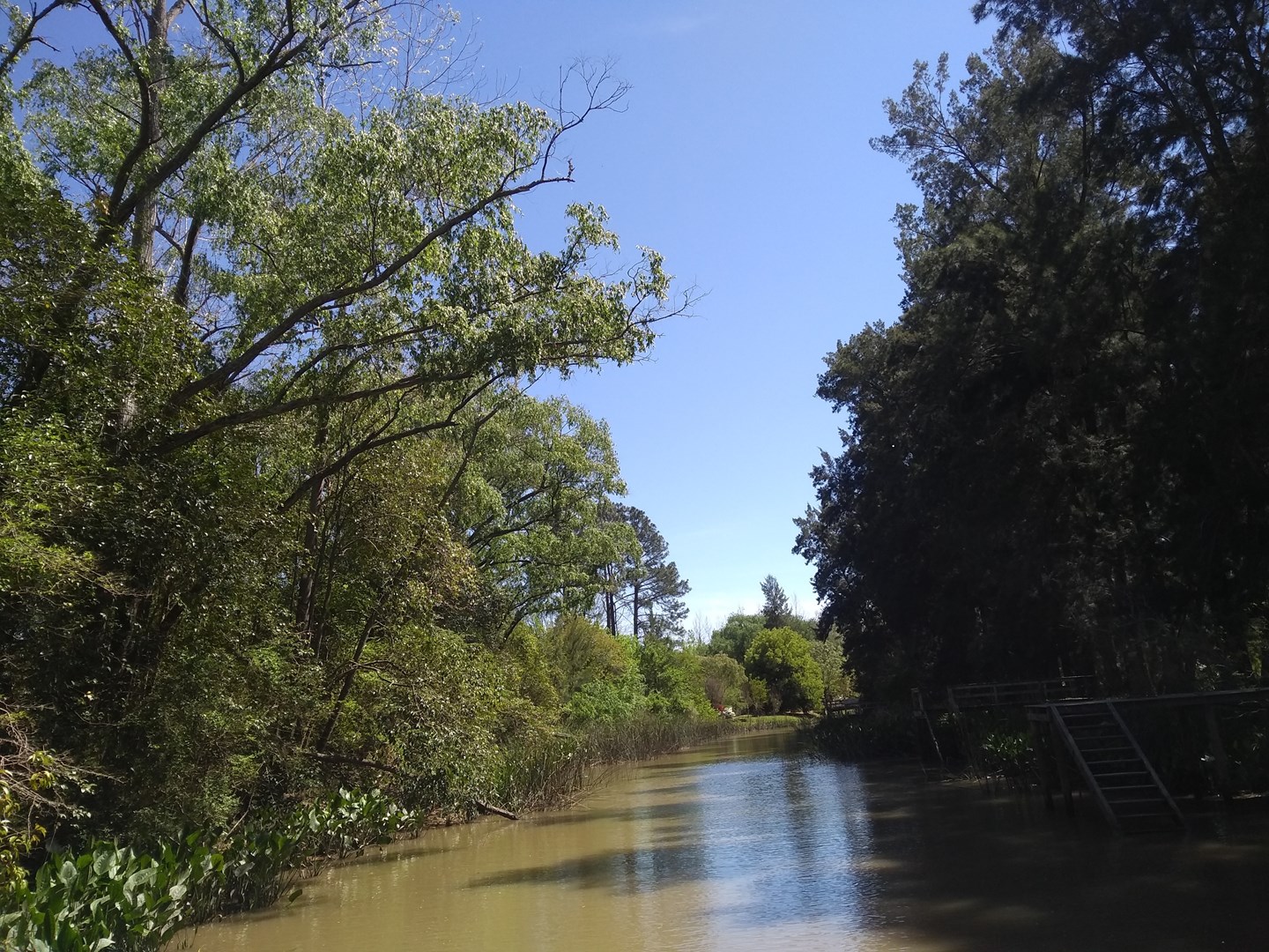Rio o Arroyo Gelvez Parcela 4 400