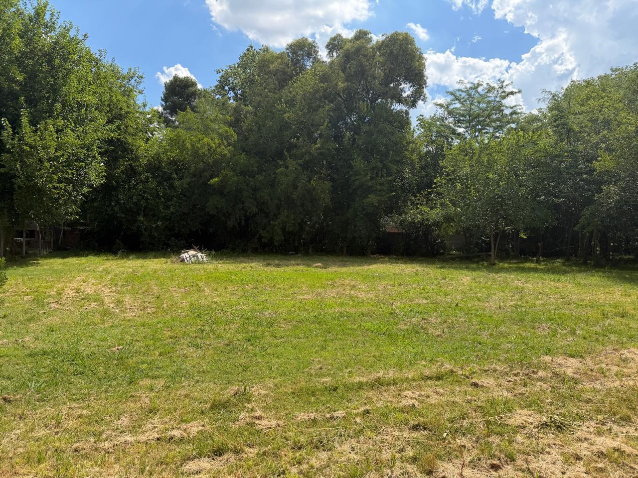 MARTINEZ DE HOZ 3000