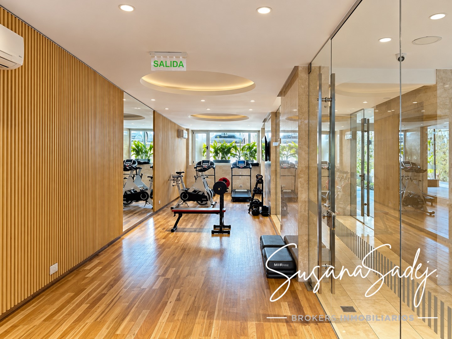 Gimnasio