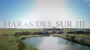 HARAS DEL SUR 3- LOTE