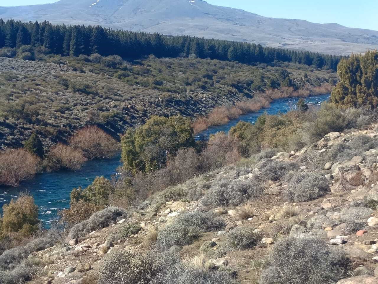 VENTA DE LOTE A ORILLAS DEL RIO CHIMEHUIN (Lago Huechulafquen) 0