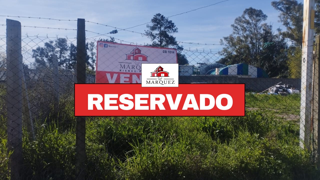 Defensa 2000