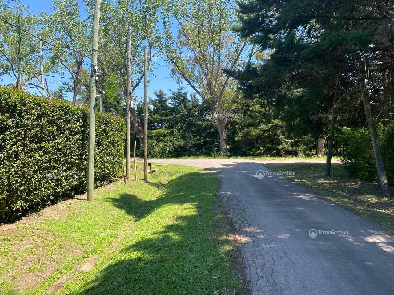 Avenida Libertador 8500