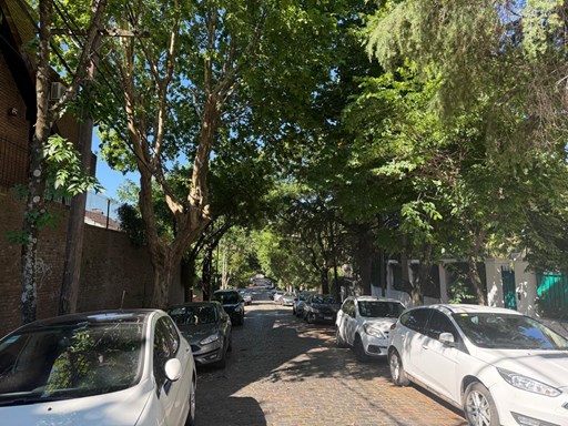 Avenida del Libertador 700