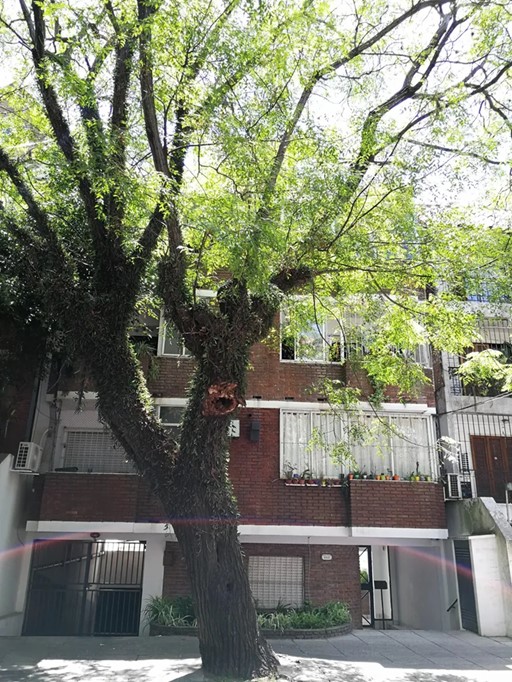 Diego palma 400, 3RO. B