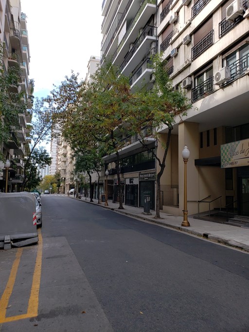 Juncal 800