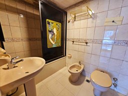 Baño Suite (19°)