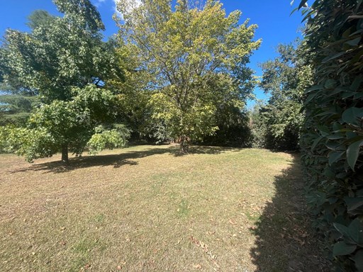 Los Cipreses y Espinillo 900