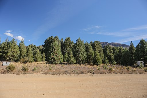 Club de campo Dos Valles 1500