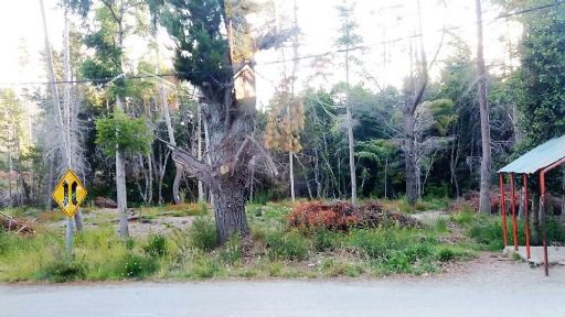 Bustillo 21000