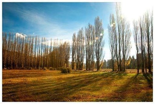 Club de campo Dos Valles