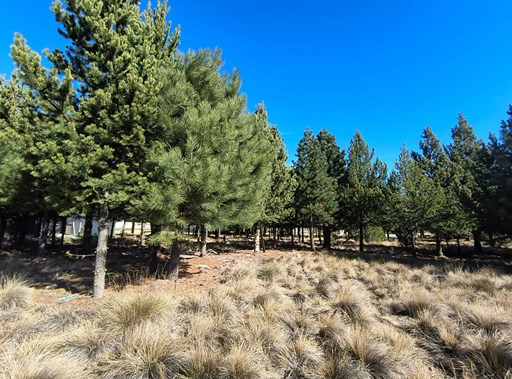 Club de campo Dos Valles