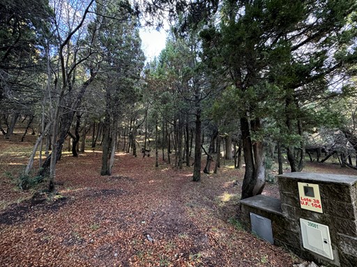 Campichuelo 1300
