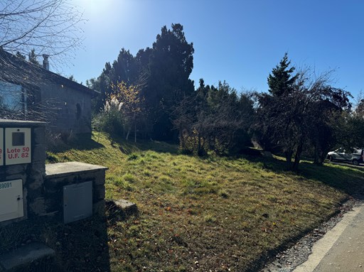 Campichuelo 1300