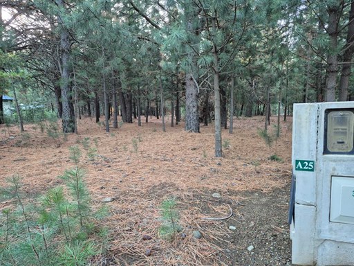 Club de campo Dos Valles 1500