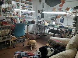 Dorm. casa huéspedes