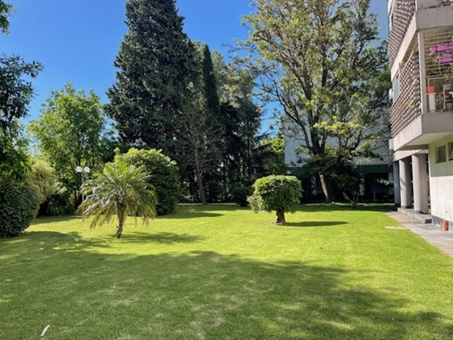 Remedios de E. San Martin 1600