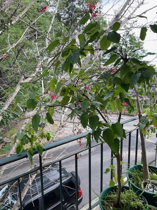 Heroes De Malvinas 100