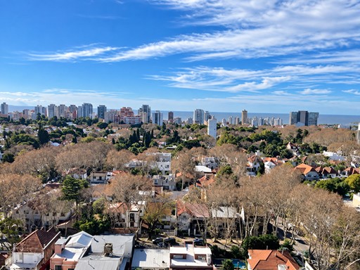 Av.Maipu 1300