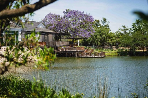 Silvestre barrio Nordelta 300