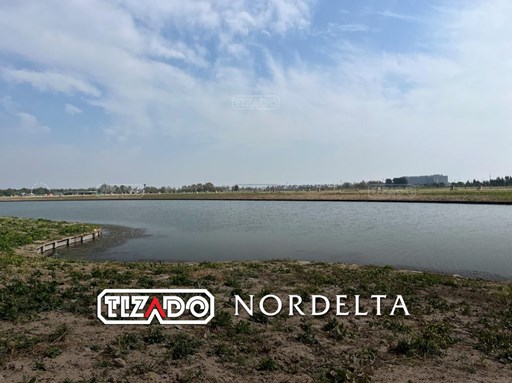 silvestre Nordelta al agua 100