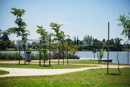 Lote en venta en NORDELTA, Barrio CASUARINAS 300