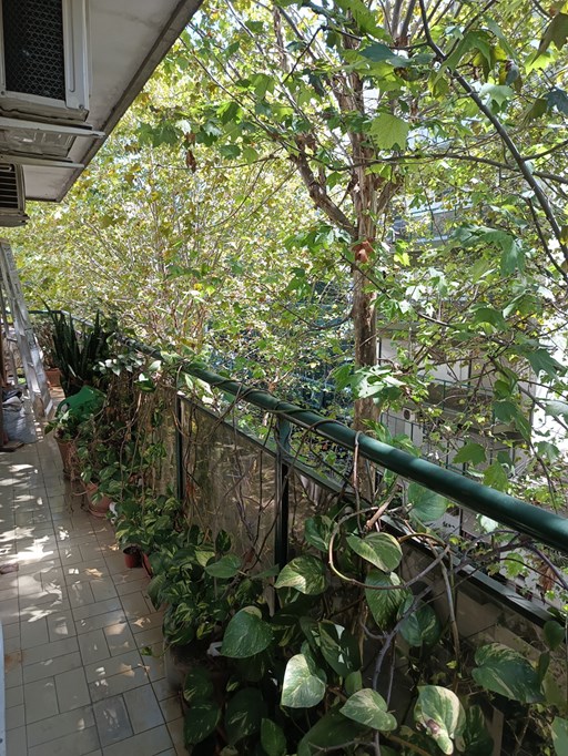 Blanco Encalada 2500