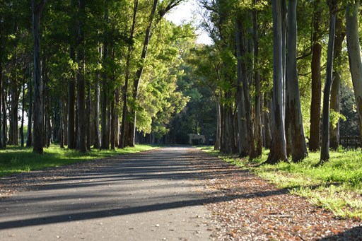 Haras San Pablo Club de Campo