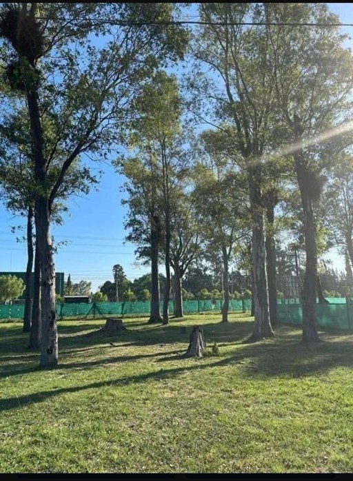 Alvarez del Bosque 9100