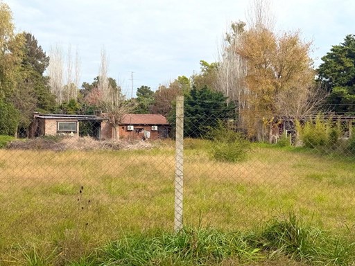 Almafuerte 4100