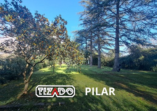 Fatima Calle Fonseca 900