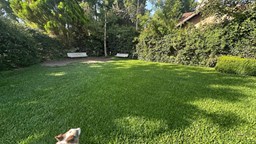 Larena CC