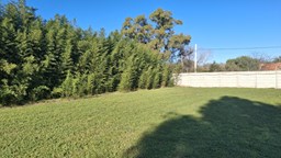 Lote Brujas Pilar